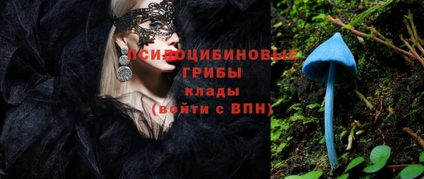 Альфа ПВП Бородино