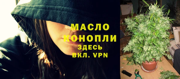 Альфа ПВП Бородино