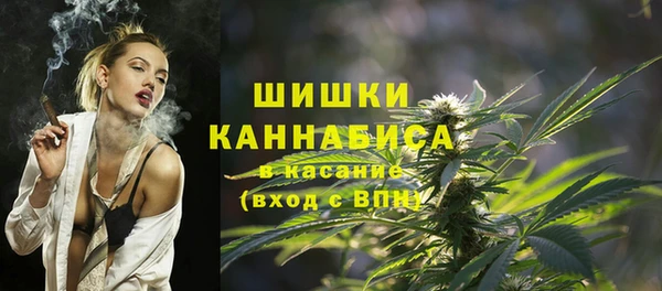 Альфа ПВП Бородино